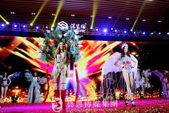 大型活動演出