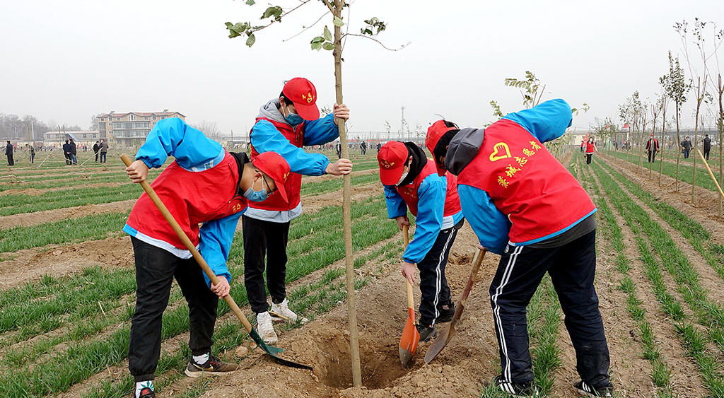 深圳植樹節活動策劃方案 圖3