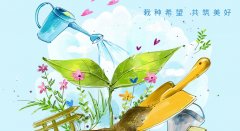 植樹節活動策劃方案分享