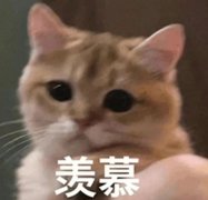 羨慕以前的活動圈！預(yù)算20w，加到100w