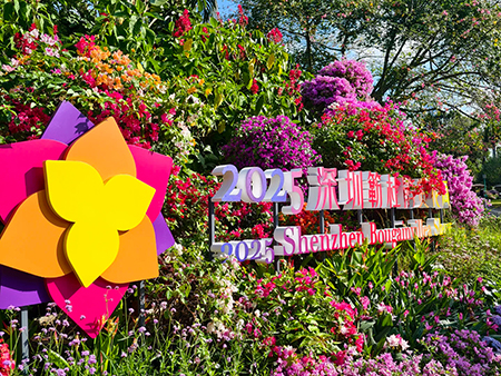 蓮花山花展如何“撐起”那一片藝術天空？